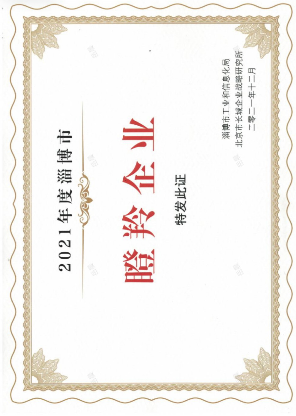 瞪羚企业